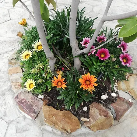 La Loba * Malcocinado (Extremadura)