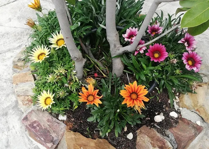 La Loba * Malcocinado (Extremadura)